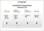 Visarome Dynamique B