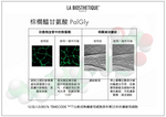 光采煥顏平衡面霜